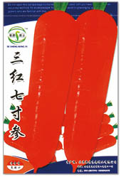 tߴ煢